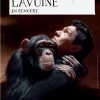 affiche Marc Lavoine