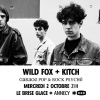 affiche Wild Fox + Kitch