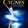 affiche Le Lac des Cygnes (St Petersbourg Ballets Russes)