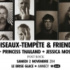 affiche Oiseaux-Tempte & friends + Princess Thailand + Jessica Moss