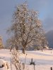 Villaz, hiver