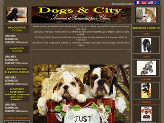 thumb Dogs & City